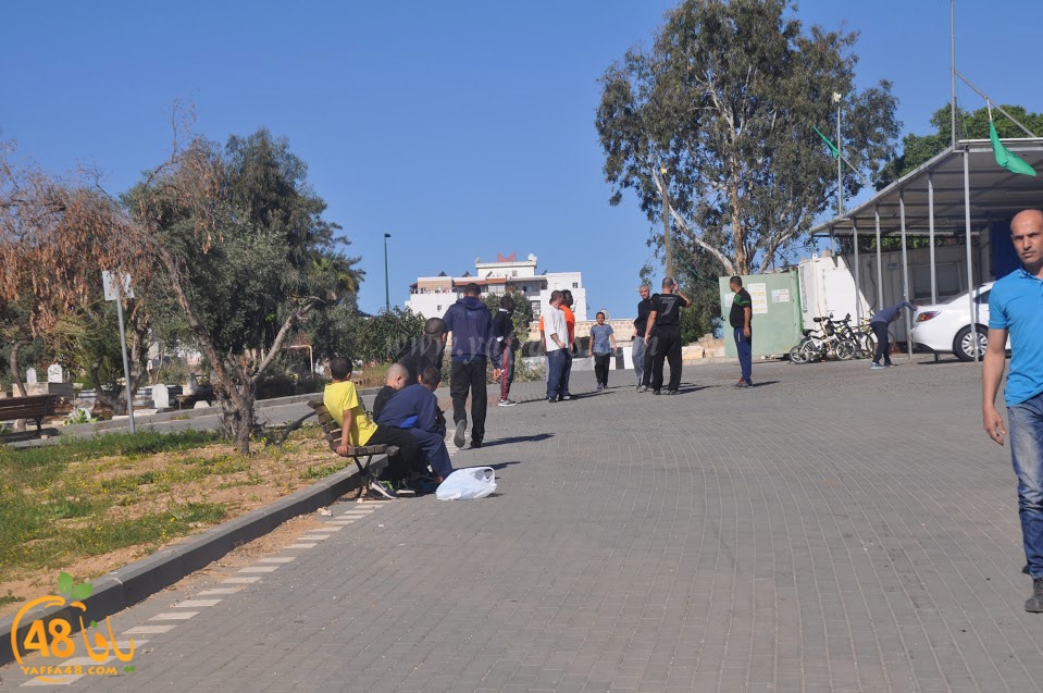 tasohamlalanjna (17).jpg